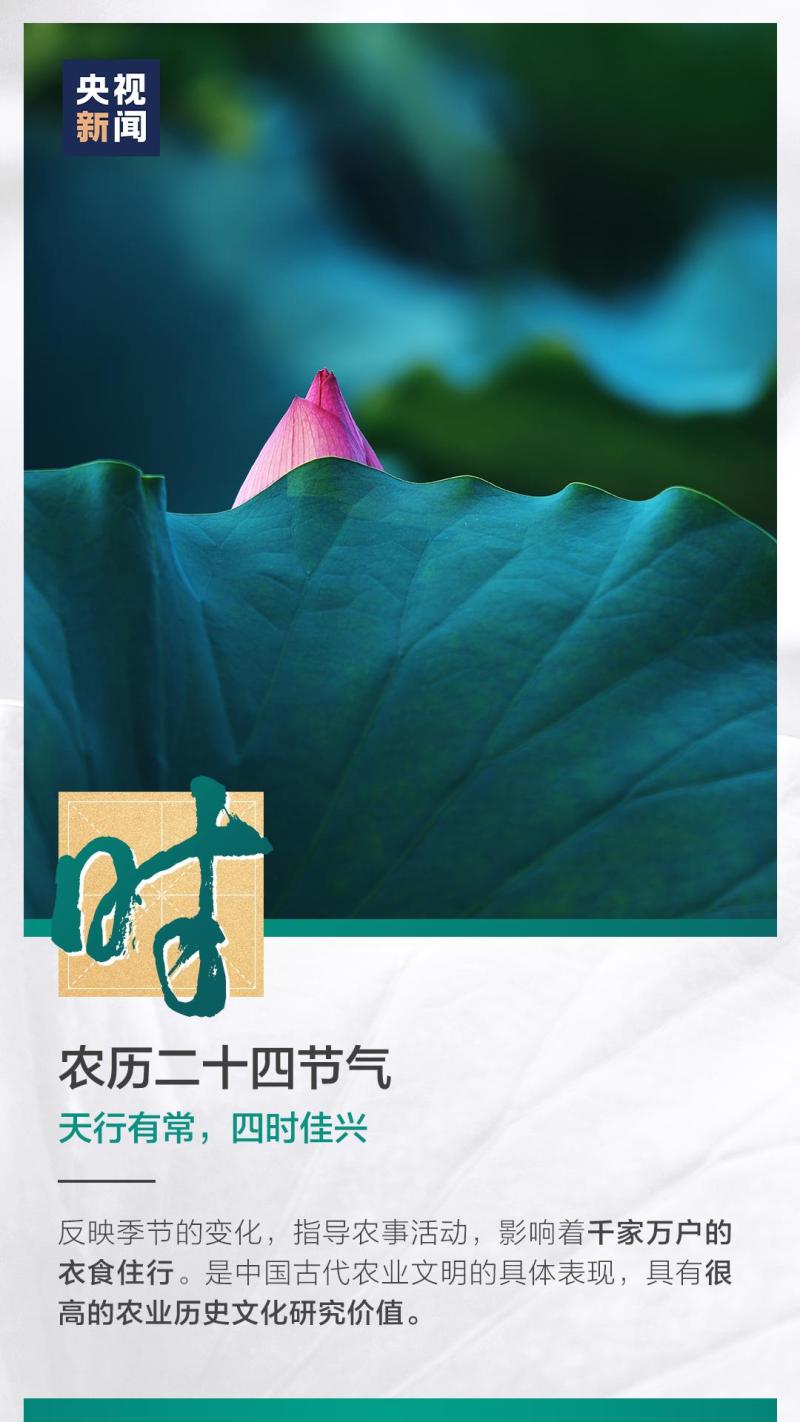 這也太浪漫了吧！