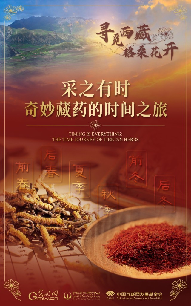 【尋覓西藏·格?；ㄩ_(kāi)】采之有時(shí)：奇妙藏藥的時(shí)間之旅