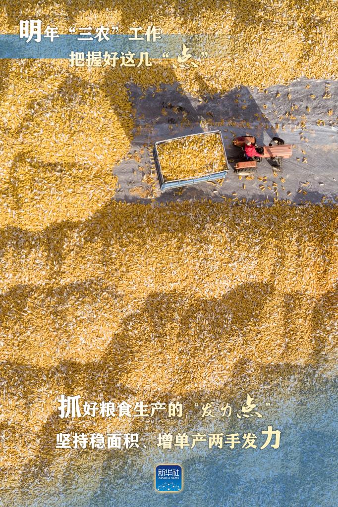 明年“三農(nóng)”工作，這幾個“點(diǎn)”要把握好