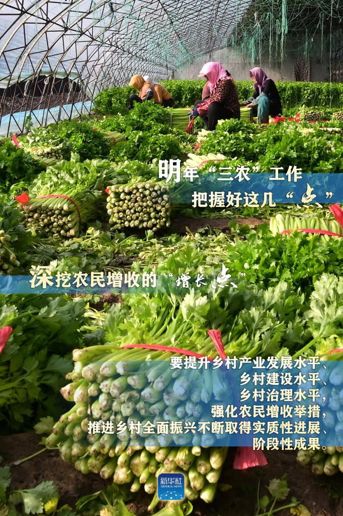 明年“三農(nóng)”工作，這幾個“點(diǎn)”要把握好