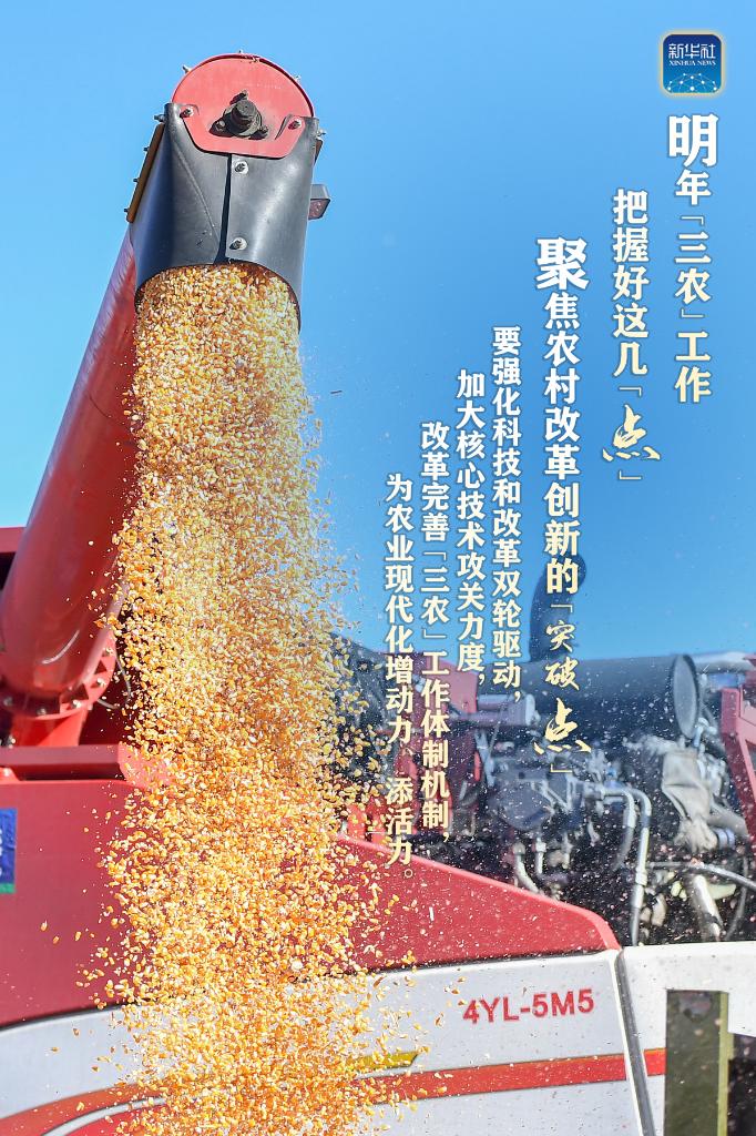 明年“三農(nóng)”工作，這幾個“點(diǎn)”要把握好