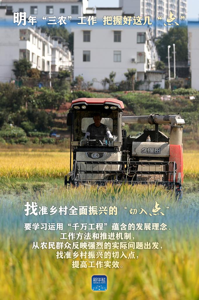 明年“三農(nóng)”工作，這幾個“點(diǎn)”要把握好