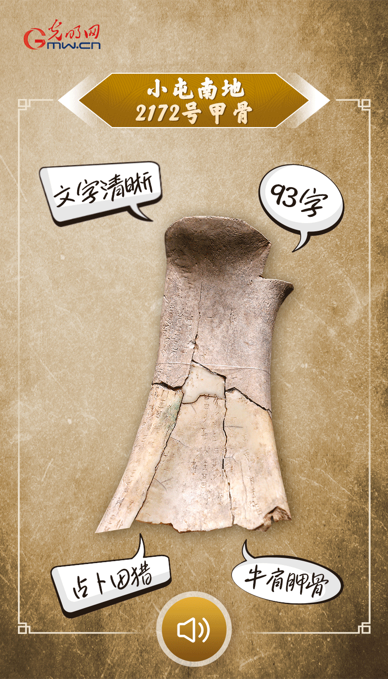 文物會(huì)說(shuō)話 | 殷墟博物館新館開(kāi)館啦，帶你奔赴“千年之約”