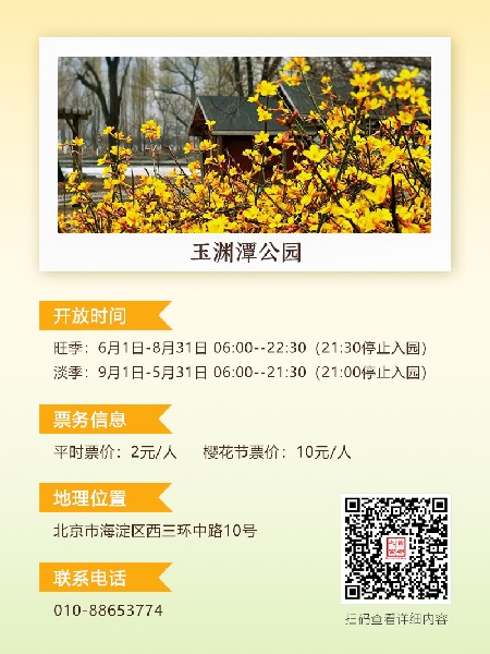 追花指南第二期！京城三月里最撩人的玉蘭觀賞地