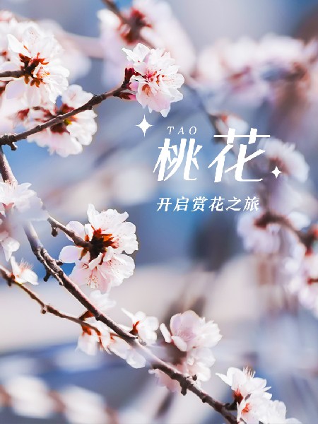 追花指南第三期！別等了 今天就去和桃花撞個(gè)滿懷