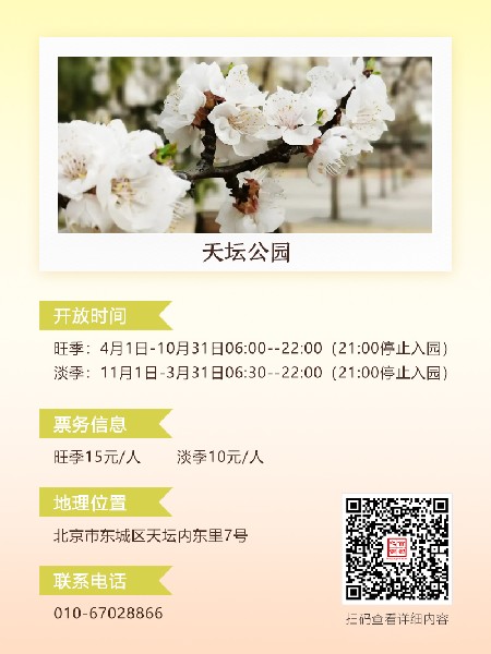 追花指南第六期！杏花雨 楊柳風(fēng) 北京最美的杏花在這里