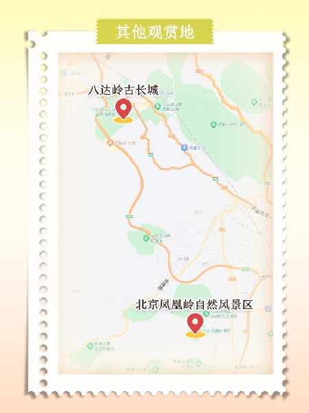 追花指南第六期！杏花雨 楊柳風(fēng) 北京最美的杏花在這里