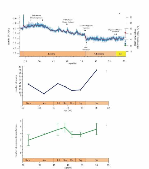 早始新世至早漸新世東亞嚙齒類屬級多樣性變化?！≈锌圃汗偶棺邓?供圖
