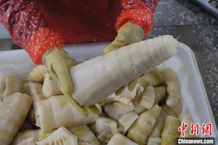 圖為整根腌制后撈出的酸筍?！⒖÷?攝