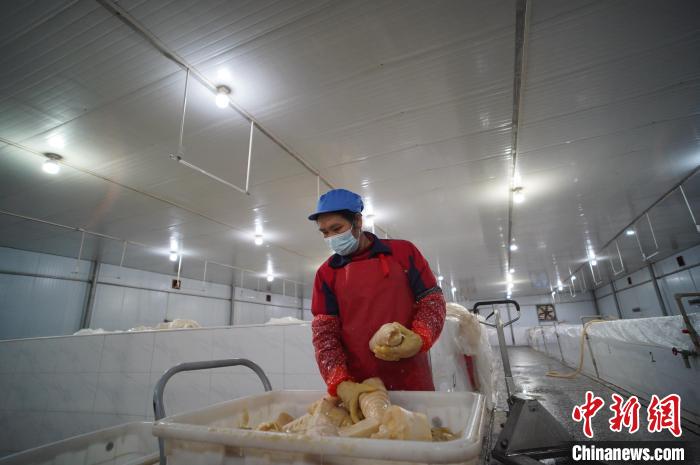 圖為一名工人正在查看酸筍腌制效果?！№f國(guó)政 攝