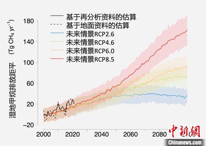基于觀測的濕地甲烷排放變化與未來氣候變化情景下估算的對比。　中科院青藏高原所 供圖