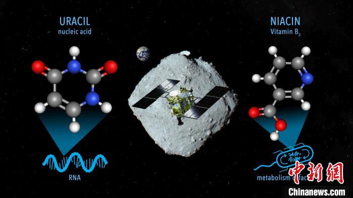 國際最新研究稱，近地小行星“龍宮”上發(fā)現(xiàn)尿嘧啶等核酸堿基
