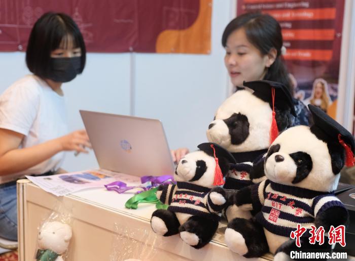 北京理工大學(xué)帶來可愛熊貓玩偶，頗為吸睛 陳悅 攝