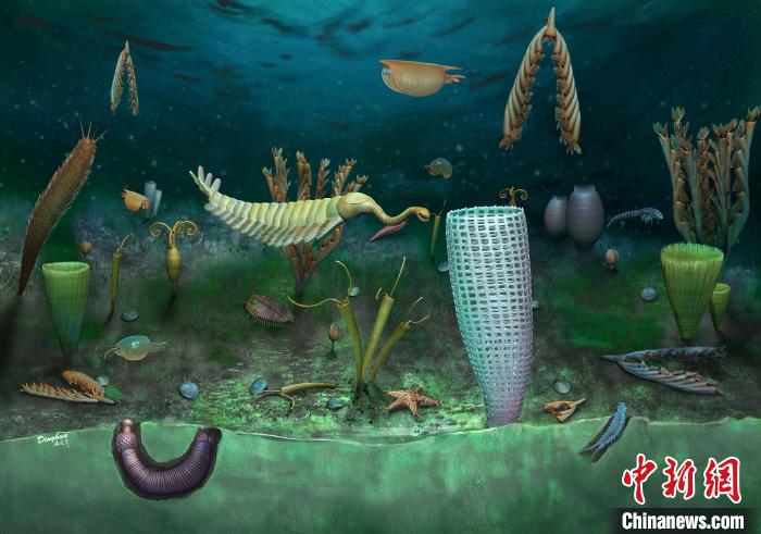 Castle Bank動(dòng)物群藝術(shù)復(fù)原圖(Yang Dinghua繪制)?！∈┢樟指瘛ぷ匀?供圖