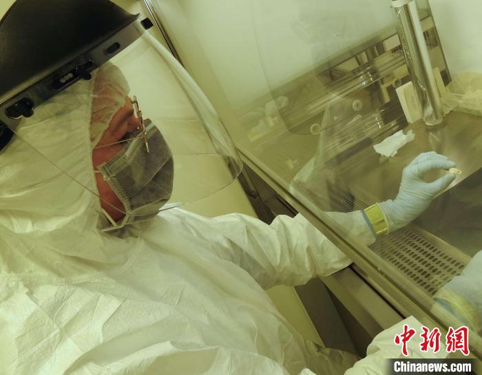 Elena Essel在凈室中處理鹿牙墜飾(圖片來自馬克斯·普朗克演化人類學研究所)。　施普林格·自然 供圖