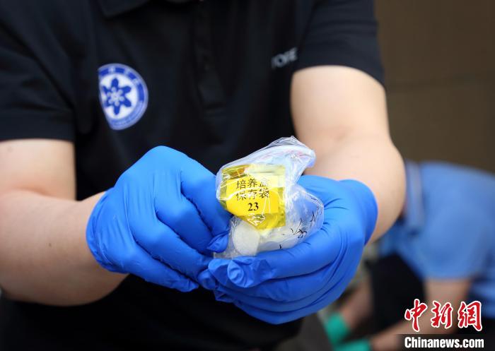 隨神舟十五號返回地面的空間科學(xué)實驗樣品?！≈锌圃嚎臻g應(yīng)用中心 供圖