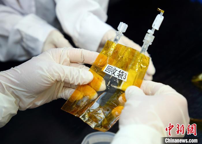 隨神舟十五號返回地面的空間科學(xué)實驗樣品?！≈锌圃嚎臻g應(yīng)用中心 供圖