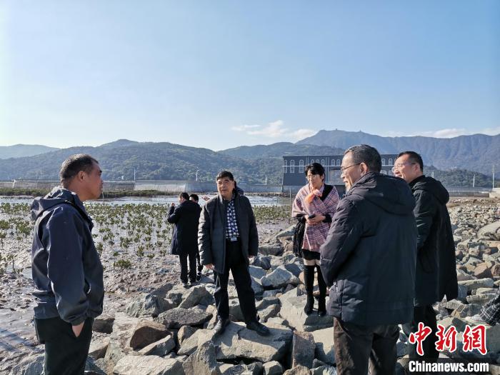 浙江海洋生態(tài)觀察：智慧大腦如何解鎖藍色發(fā)展密碼？