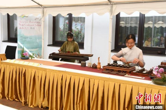 圖為余亞麗茶藝展示，王曉嬋古琴演奏 柏林中國(guó)文化中心供圖。