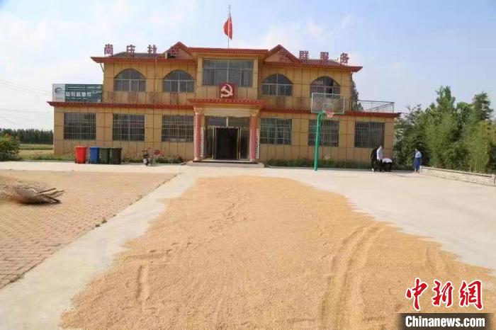 農(nóng)民在邳莊鎮(zhèn)尚莊村黨群服務(wù)中心大院里曬糧?！≠Z萌 攝