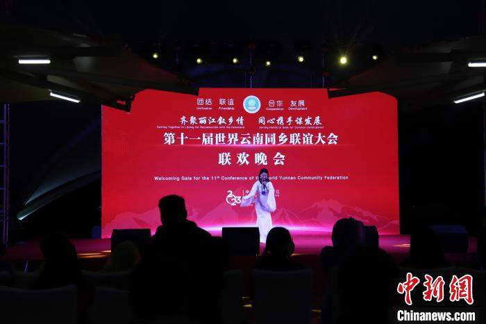 圖為第十一屆世界云南同鄉(xiāng)聯(lián)誼大會(huì)舉辦聯(lián)歡晚會(huì)?！〈抻澜?攝