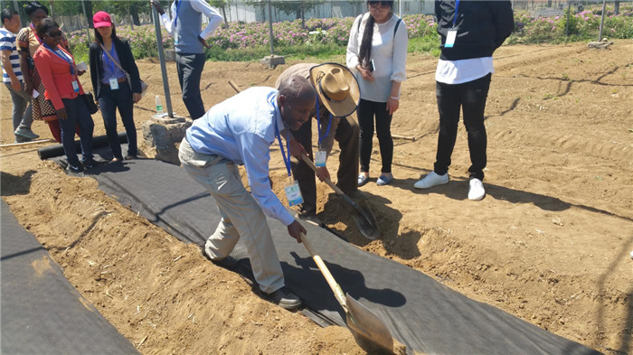 孫釗現(xiàn)場指導農(nóng)民耕種。受訪者供圖