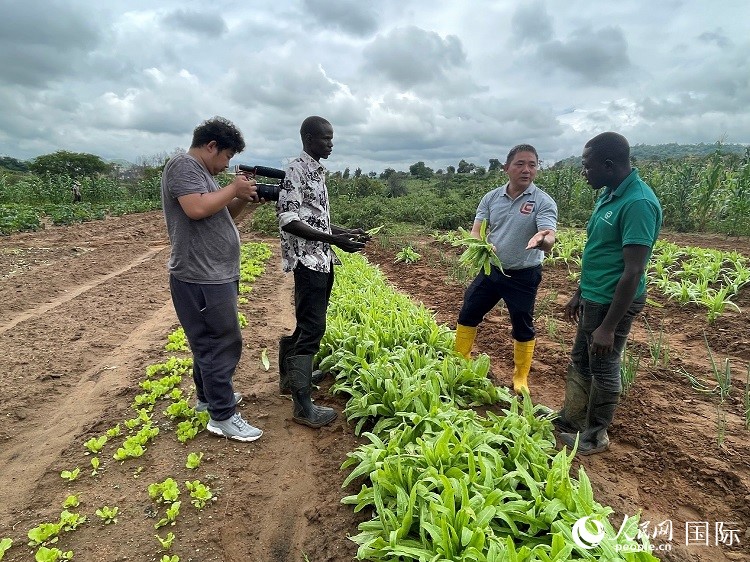 人民網(wǎng)記者走進尼日利亞農(nóng)業(yè)技術示范中心。人民網(wǎng)記者 趙艷紅攝