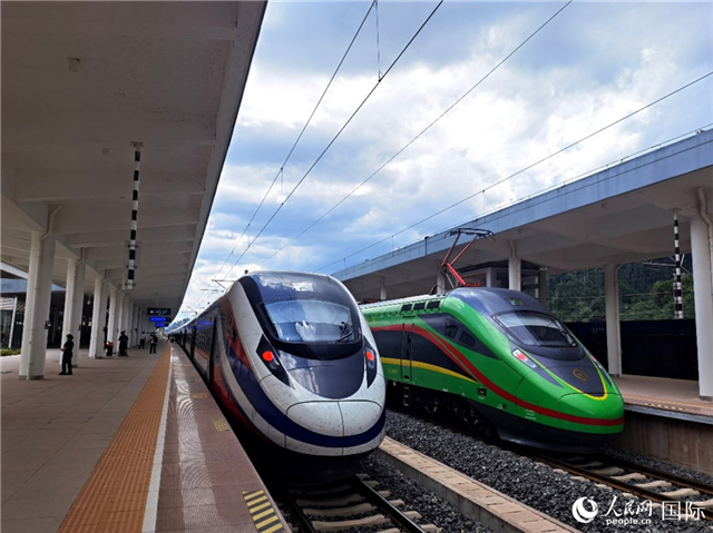 “復興號”和“瀾滄號”國際旅客列車?？吭诶蠐肽ザ≌?。人民網(wǎng) 杜明明攝