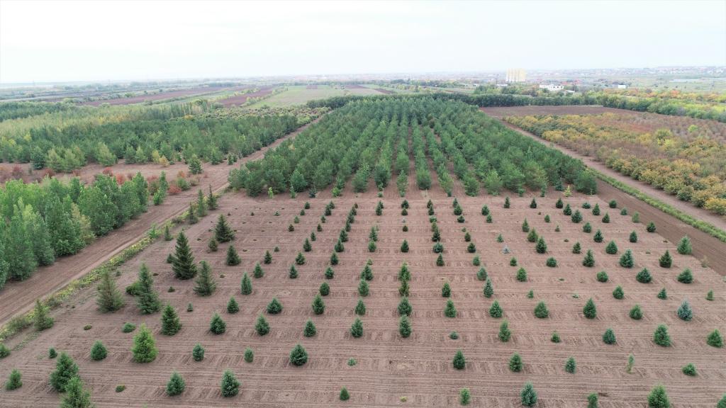 這是2023年9月11日在哈薩克斯坦首都阿斯塔納拍攝的一處植物種質(zhì)資源苗圃（無人機照片）。新華社發(fā)（法爾哈特·圖克諾夫 攝）