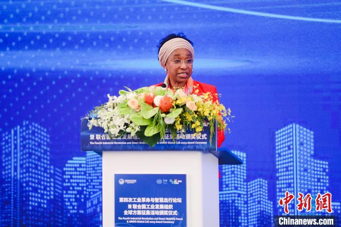 聯(lián)合國工業(yè)發(fā)展組織總干事代表兼執(zhí)行干事法圖 海達(dá)拉致辭。