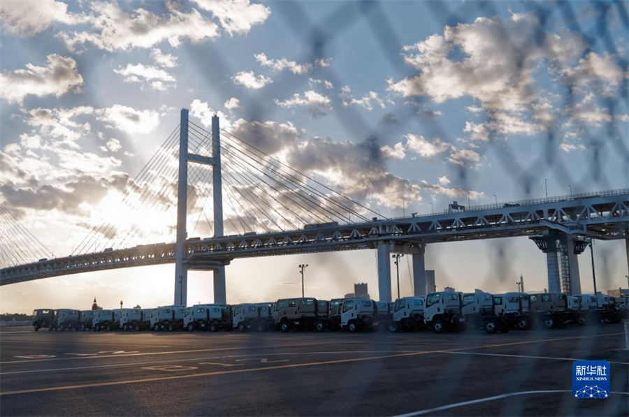 這是11月14日在日本橫濱拍攝的進(jìn)出口汽車(chē)集散場(chǎng)地。新華社記者 張笑宇 攝