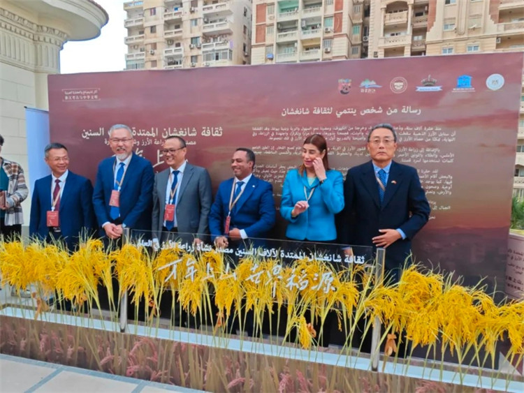 圖為現(xiàn)場(chǎng)嘉賓為特展啟幕。開羅中國(guó)文化中心供圖