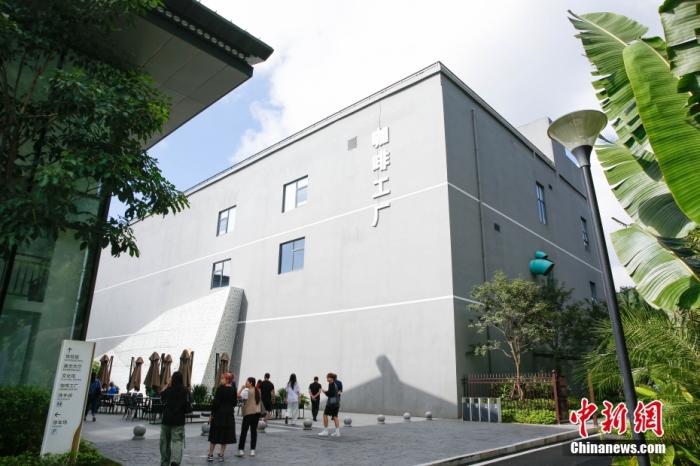 圖為采訪團(tuán)一行參觀咖啡工廠。 曹淼欣 攝