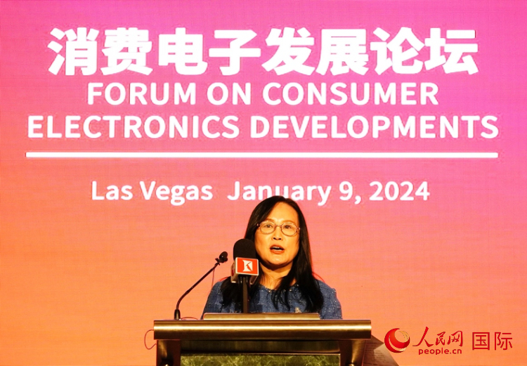 中國機電產(chǎn)品進出口商會副會長劉春致辭。人民網(wǎng)記者 鄧圩攝