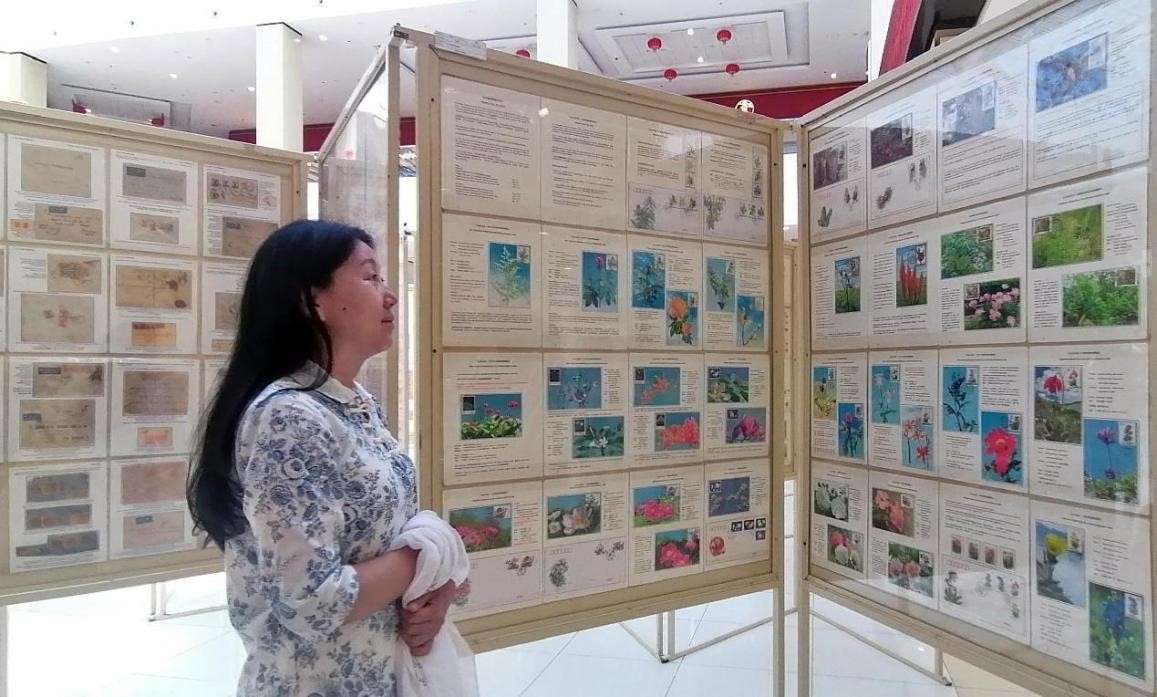 藥用植物極限片展覽場景。第七屆阿聯(lián)酋集郵展主辦方供圖
