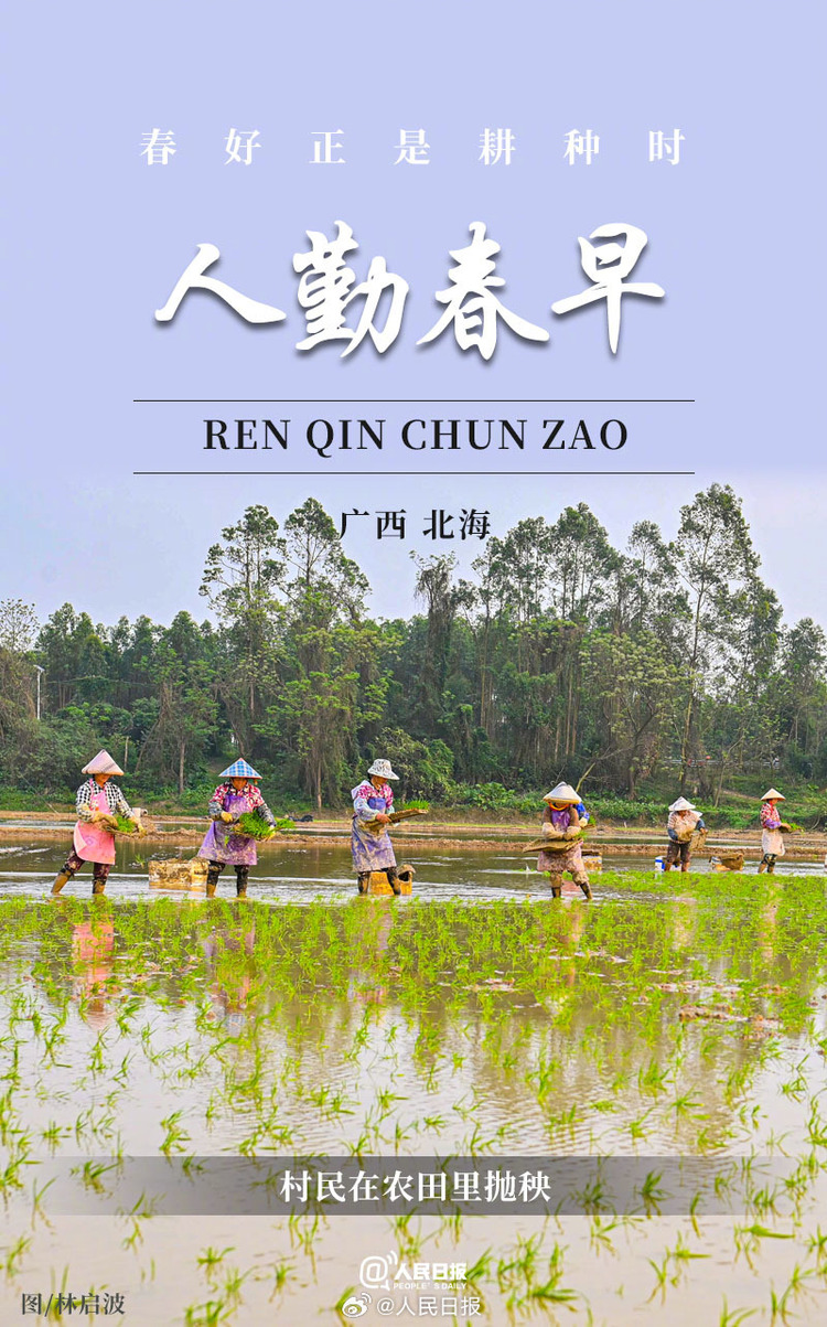 生機(jī)盎然！用課本封面打開春耕畫卷