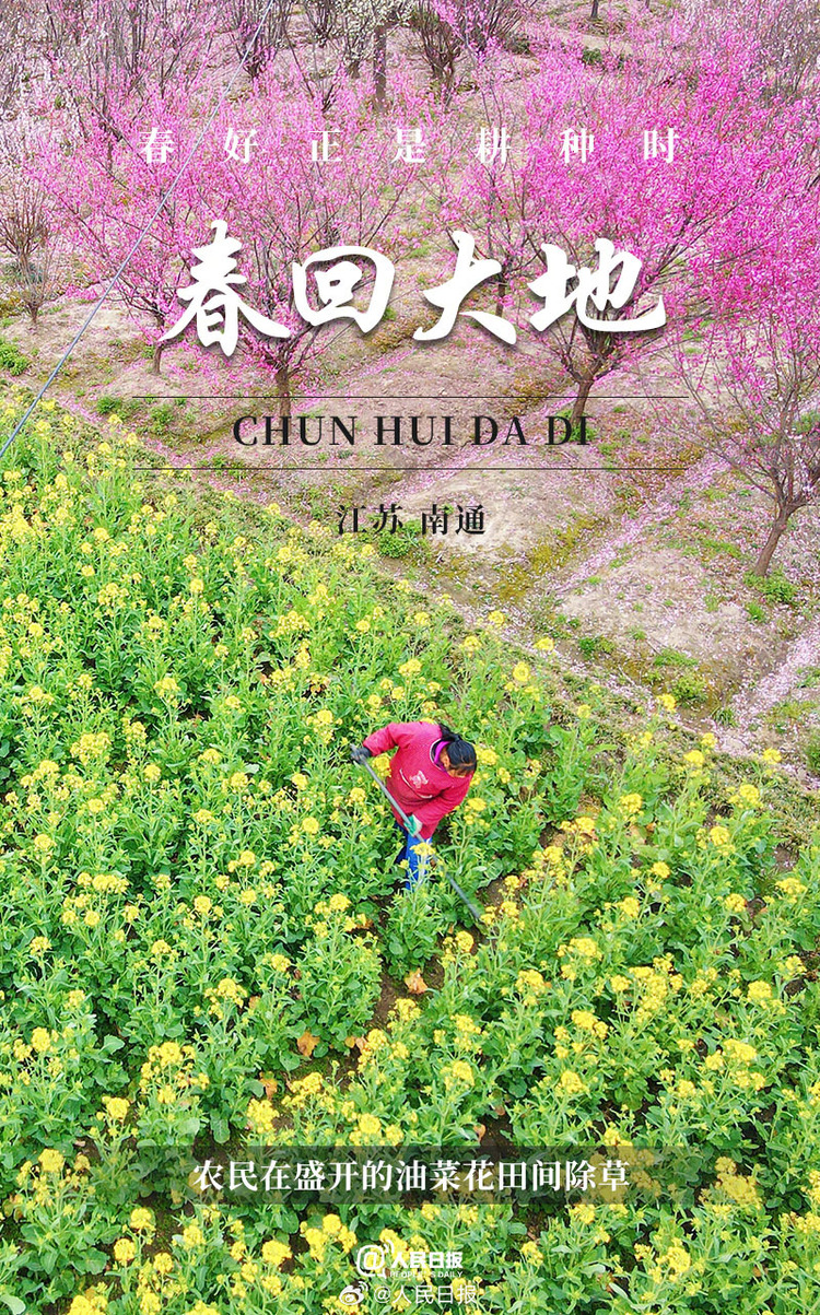 生機(jī)盎然！用課本封面打開春耕畫卷