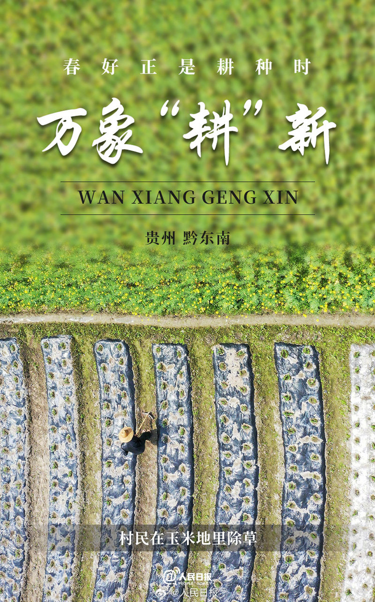 生機(jī)盎然！用課本封面打開春耕畫卷