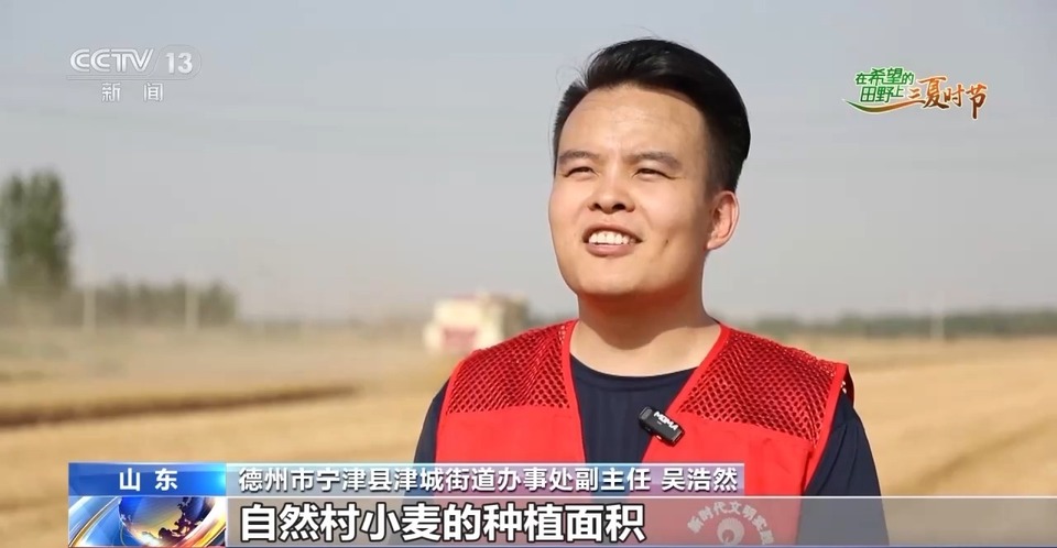 “三夏”生產(chǎn)思維導(dǎo)圖安排上了！還有政府大院等你來“曬”