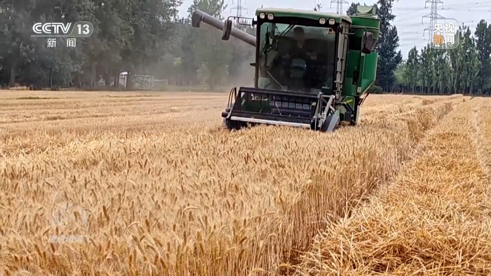 焦點(diǎn)訪談丨一粒良種 萬擔(dān)好糧 探索農(nóng)作物高產(chǎn)高質(zhì)“新密碼”