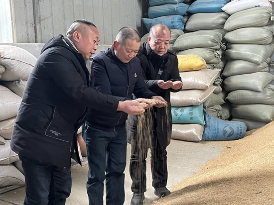 桃江種糧大戶與農(nóng)村農(nóng)業(yè)局技術(shù)人員正在查看春耕種子情況。受訪單位供圖