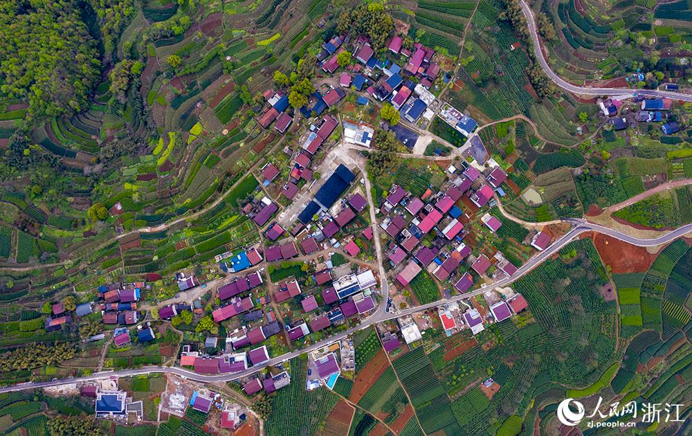 4月1日，紹興市新昌縣東茗鄉(xiāng)下巖貝村風(fēng)光秀麗，茶園旖旎。人民網(wǎng) 章勇濤攝