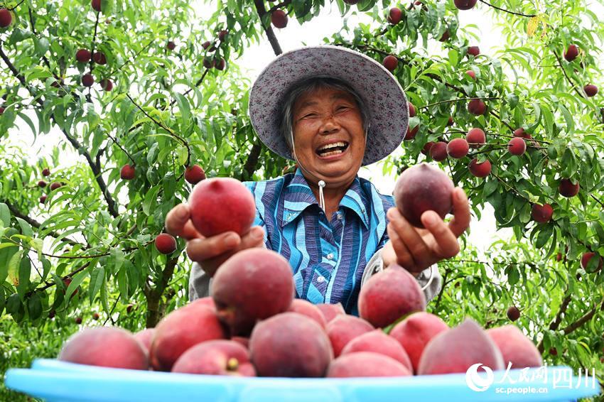 豐收的喜悅。蘭自濤攝