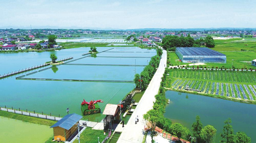 近年來(lái)，大成橋鎮(zhèn)堅(jiān)持加強(qiáng)黨對(duì)鄉(xiāng)村治理的集中統(tǒng)一領(lǐng)導(dǎo)，該鎮(zhèn)鄉(xiāng)村治理模式入選第二批全國(guó)鄉(xiāng)村治理典型案例。圖為美麗的大成橋鎮(zhèn)。（資料圖片）