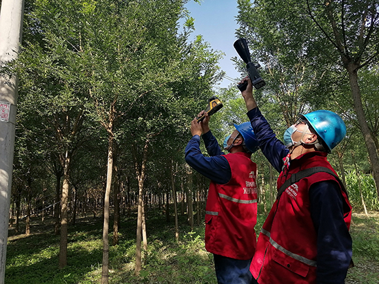 工作人員進(jìn)行紅外測溫及超聲波局部放電檢測。 王亮攝