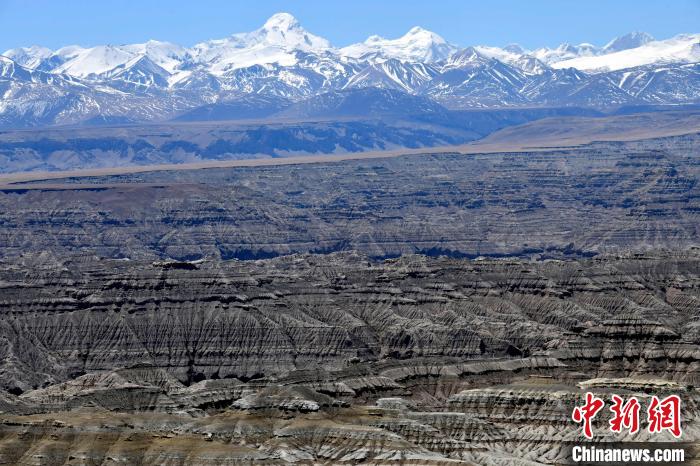 4月5日，西藏阿里札達(dá)土林?！±盍?攝