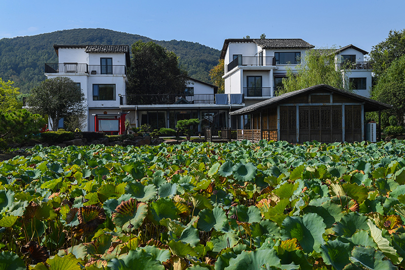 雨悅山房負(fù)責(zé)人原來(lái)在馬達(dá)加斯加打理酒店，之所以“從馬達(dá)加斯加到肥東”，源于對(duì)家鄉(xiāng)民宿前景看好。吳芳攝