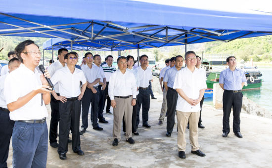 2019年6月21日上午，省長沈曉明率省政府班子成員在三亞鐵爐港調(diào)研項目規(guī)劃建設(shè)情況。海南日報記者 宋國強(qiáng) 攝