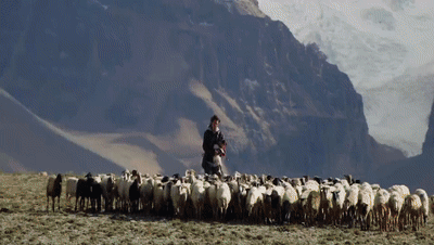 你看了嗎？藏語版《日光之城》“含金量”還在上升！