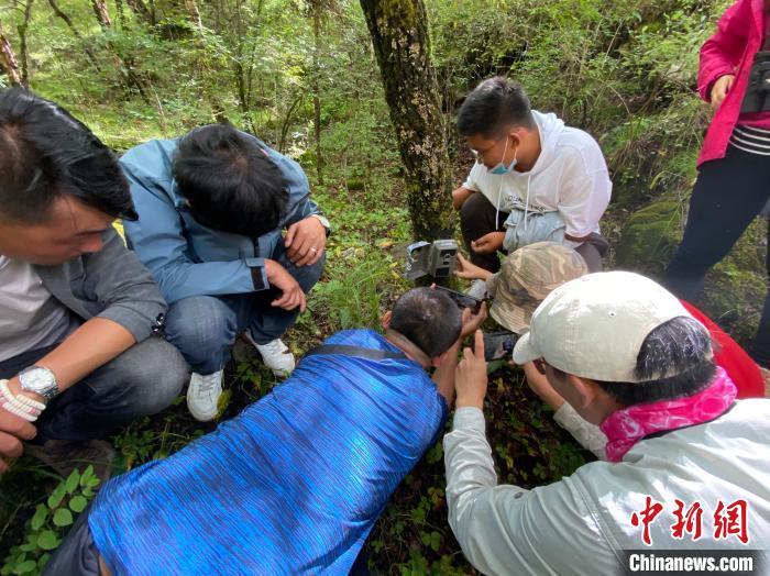 圖為訪客正在查看紅外相機中的拍攝畫面。　李江寧 攝